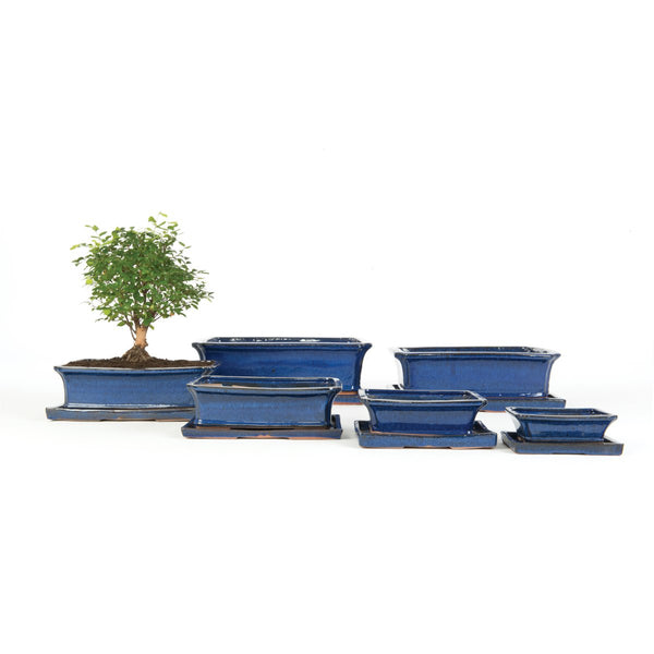Inoku Rectangular Bonsai Plant Pot & Saucer Set - 6 Sizes - Gardenesque