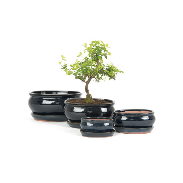 Xashi Oval Bonsai Plant Pot & Saucer Set in Dark Blue - 4 Sizes - Gardenesque
