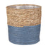 Blue Indoor Woven Basket Green Plant Pot 25cm available at Gardenesque