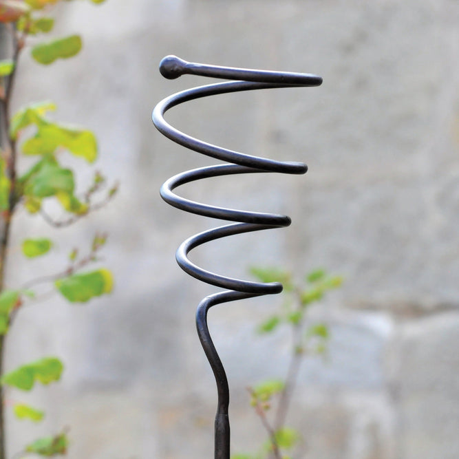 Spiral Plant Support - 5ft (155cm) available at gardenesque