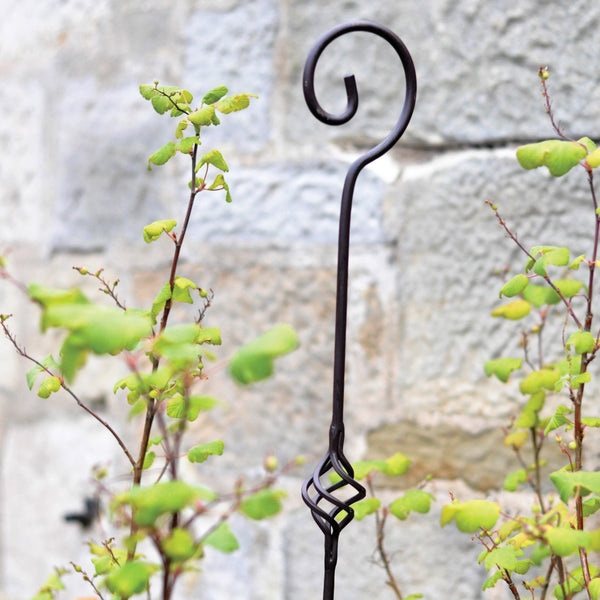 Crook & Cage Plant Support - 5ft (155cm) available at gardenesque