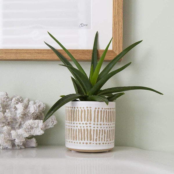 Finn Ceramic Indoor Pot Cover