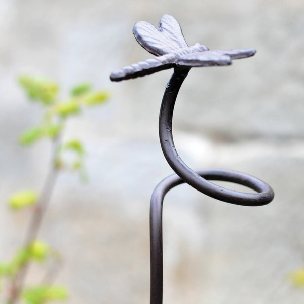 Dragonfly Metal Plant Support - 5ft (155cm) available at gardenesque