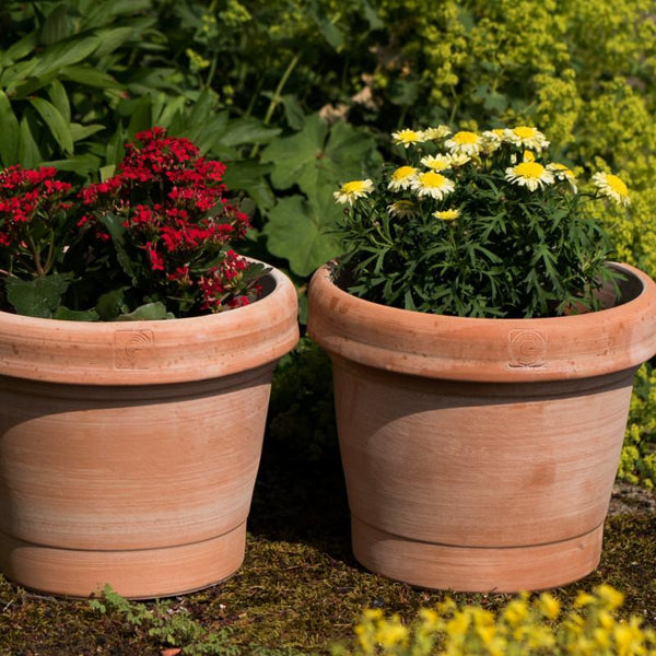 Claudius XXL Terracotta Garden Pot - 3 Sizes - Gardenesque