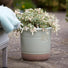 Loudon Topiary Green | Classical Plant Pot