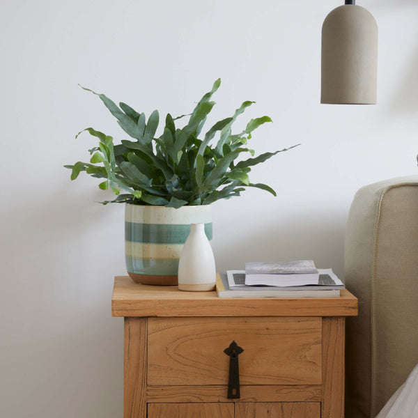 Green Stripe Glazed Indoor Plant Pot available at Gardenesque