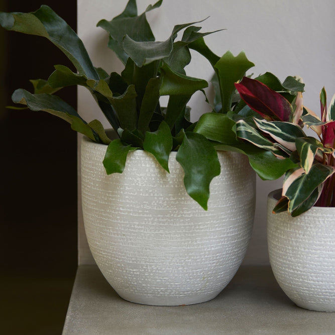 Grey Textured Round Ceramic Indoor Plant Pot