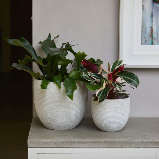 Grey Textured Round Ceramic Indoor Plant Pot