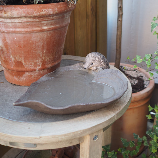 Hedgehog & Leaf Bird Feeder Bowl Gardenesque