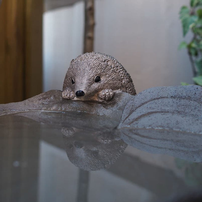 Hedgehog & Leaf Bird Feeder Bowl Gardenesque