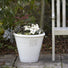 White Outdoor Plant Pot - Loudon - 2 Sizes at Gardenesque