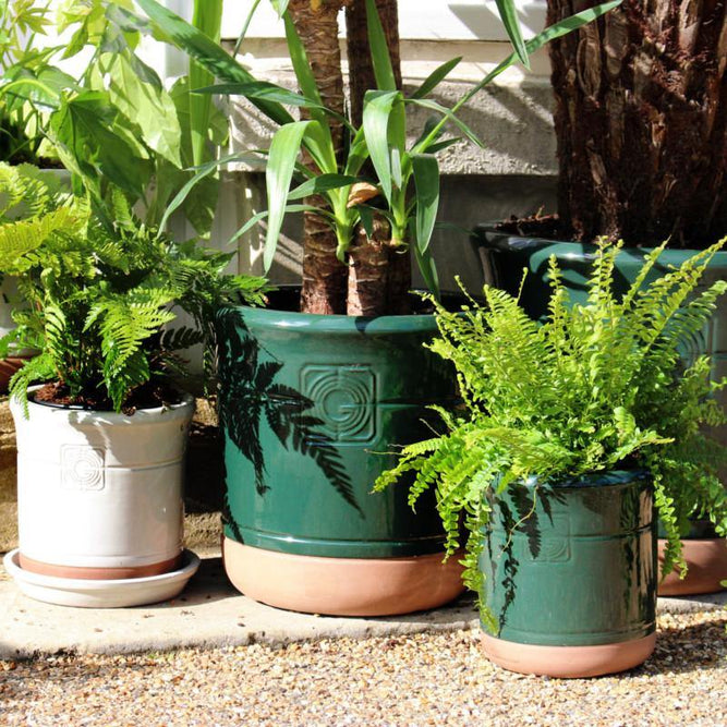 Loudon Artichoke Green Glazed Classical Planter - Gardenesque