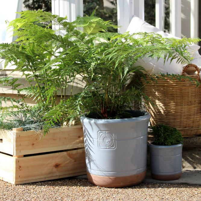 Loudon Oxford Blue Glazed Classical Planter - Gardenesque