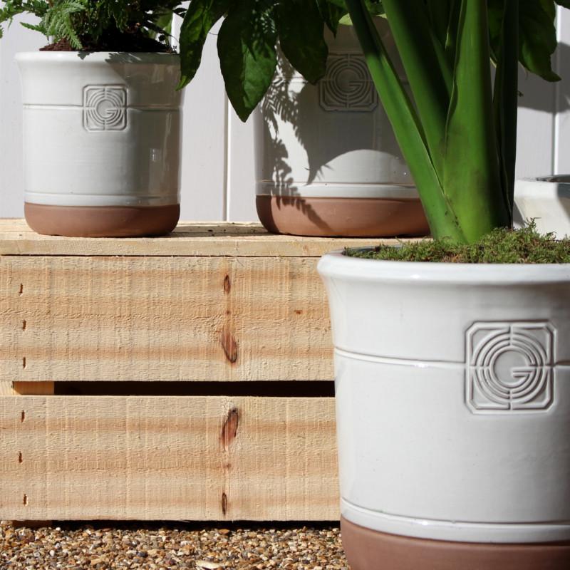 A collection of white and terracotta planters in different sizes, displayed outdoors against a wooden backdrop with vibrant green plants.