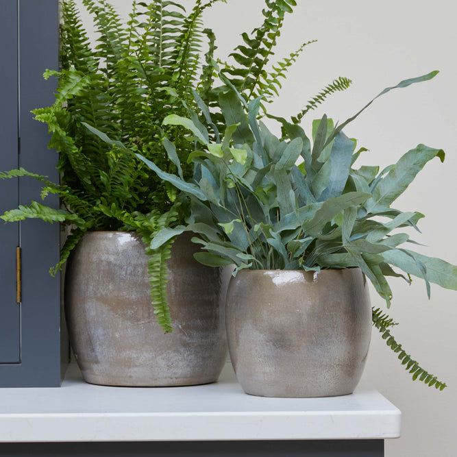 Charcoal Grey Metallic Round Indoor Plant Pot - 3 Sizes