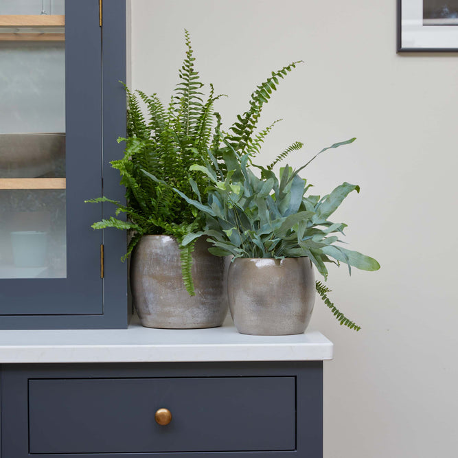 Charcoal Grey Metallic Round Indoor Plant Pot - 3 Sizes