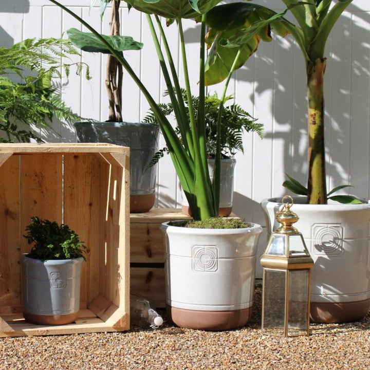 A white and terracotta planter styled with a bottle and decorative elements, creating an inviting outdoor arrangement.