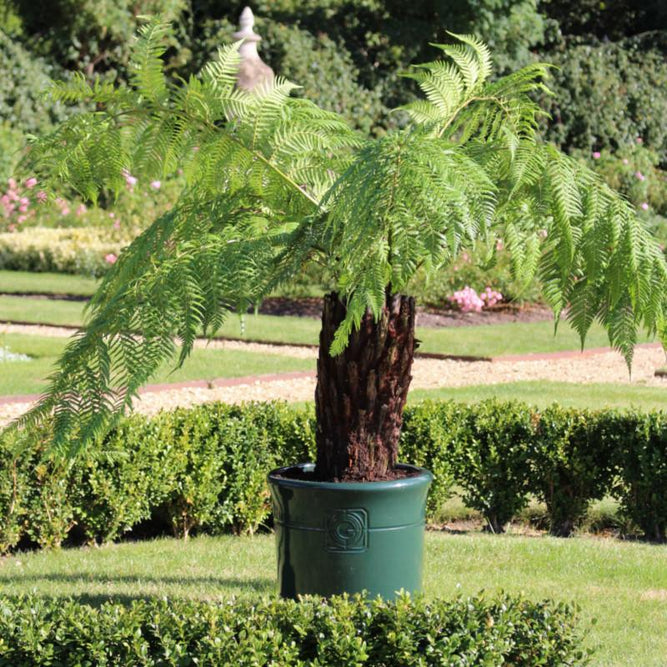 Loudon Artichoke Green Glazed Classical Planter - Gardenesque