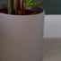Margot Indoor Ceramic Taupe Matte Plant Pot 28cm available at Gardenesque
