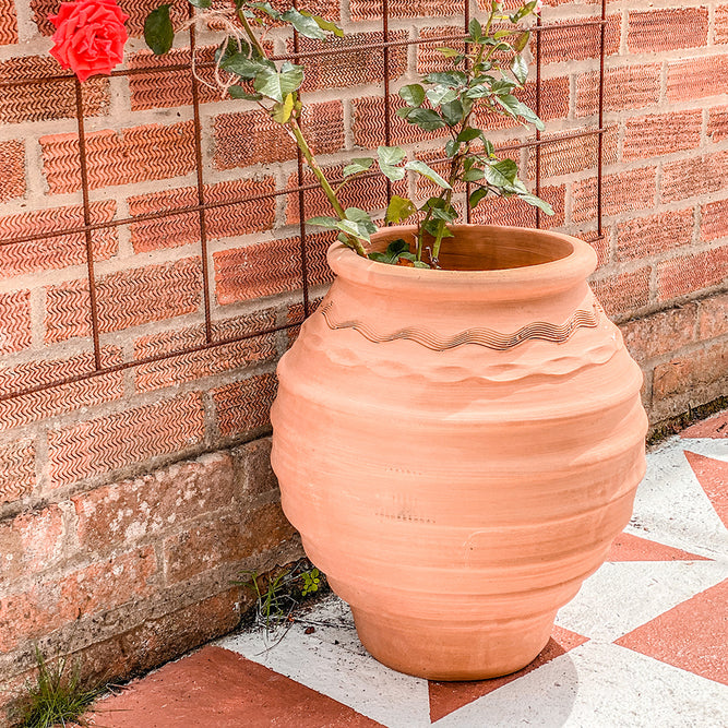 terracotta plant pots large