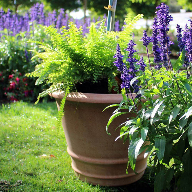 Extra large garden terracotta pot