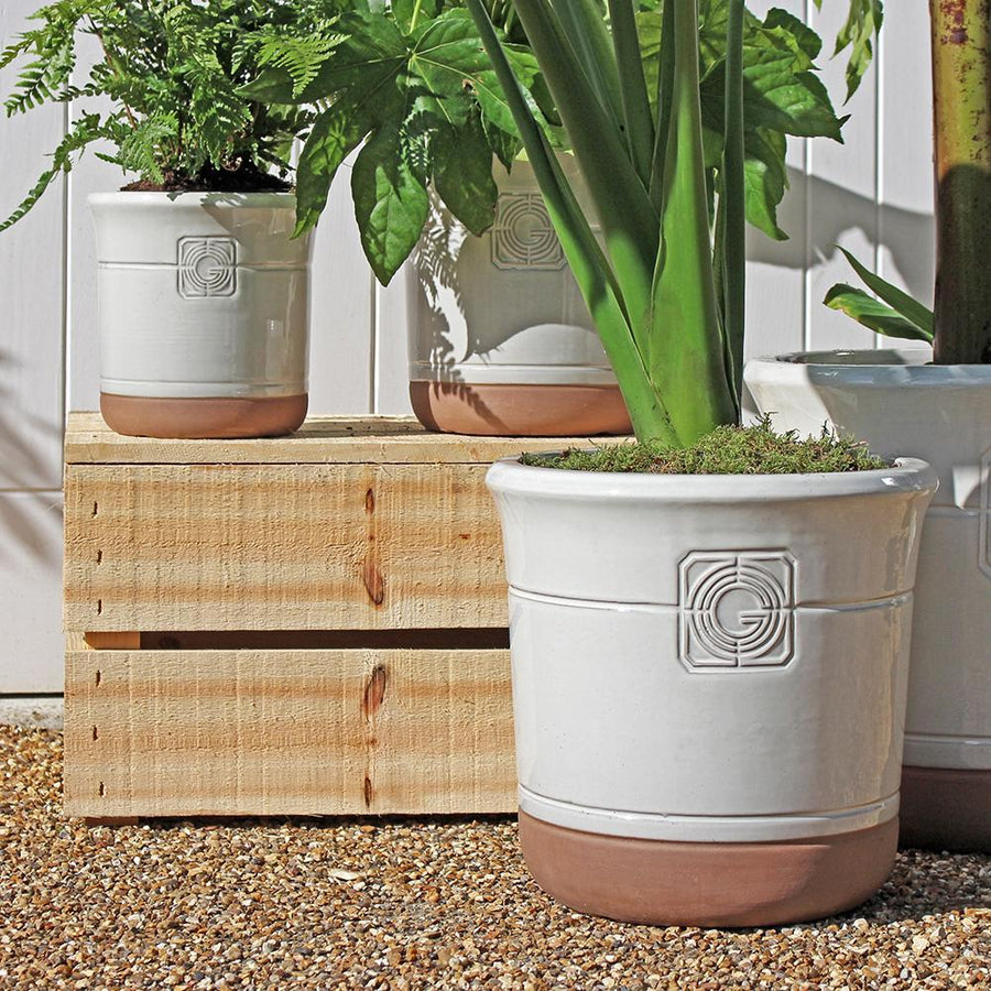 A white smoke glazed planter with a terracotta base, placed on a gravel surface and filled with tropical greenery, positioned next to wooden crates.