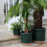 Loudon Artichoke Green Glazed Classical Planter - Gardenesque