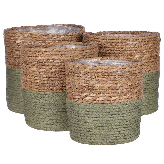 Olive Indoor Woven Basket Green Plant Pot 4 Sizes available at Gardenesque