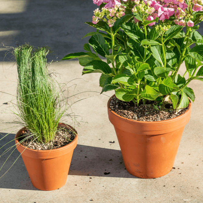 Frostproof Small Terracotta Pots at Gardenesque