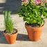 Frostproof Small Terracotta Pots at Gardenesque