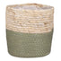 Sage Indoor Woven Basket Green Plant Pot 25cm available at Gardenesque