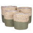 Sage Indoor Woven Basket Green Plant Pot 4 sizes available at Gardenesque