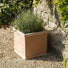 Orson Square Terracotta Plant Pot - Gardenesque