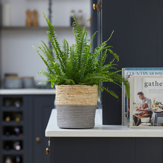 Grey Woven Basket Indoor Plant Pot available at Gardenesque