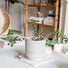 Clara Concrete Indoor Pot Cover - 4 Sizes - Gardenesque