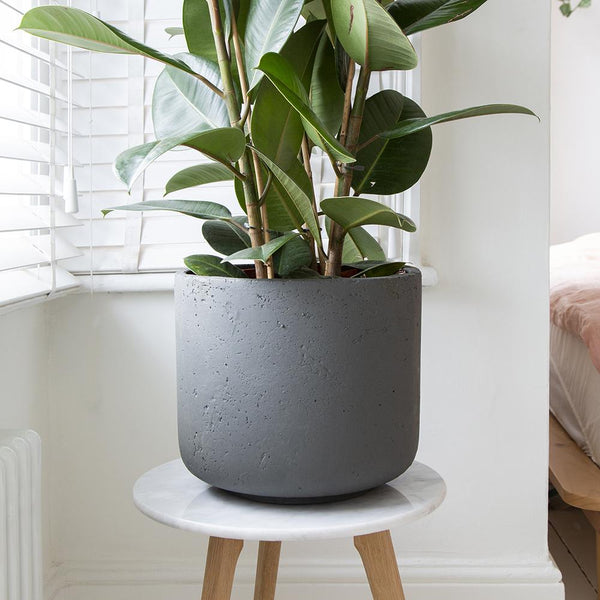 Larkin Concrete Indoor Pot Cover - 3 Sizes - Gardenesque