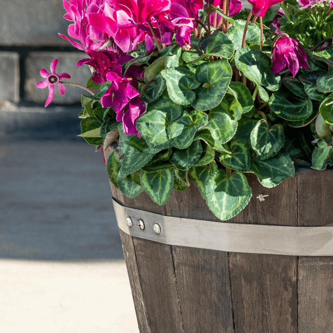 Wooden Whiskey Barrel Planter with Drainage - 2 Sizes - Gardenesque