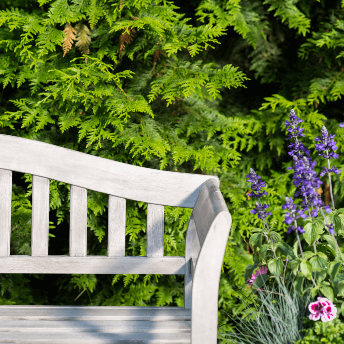 Repton Queen | Wooden Garden Bench | Gardenesque