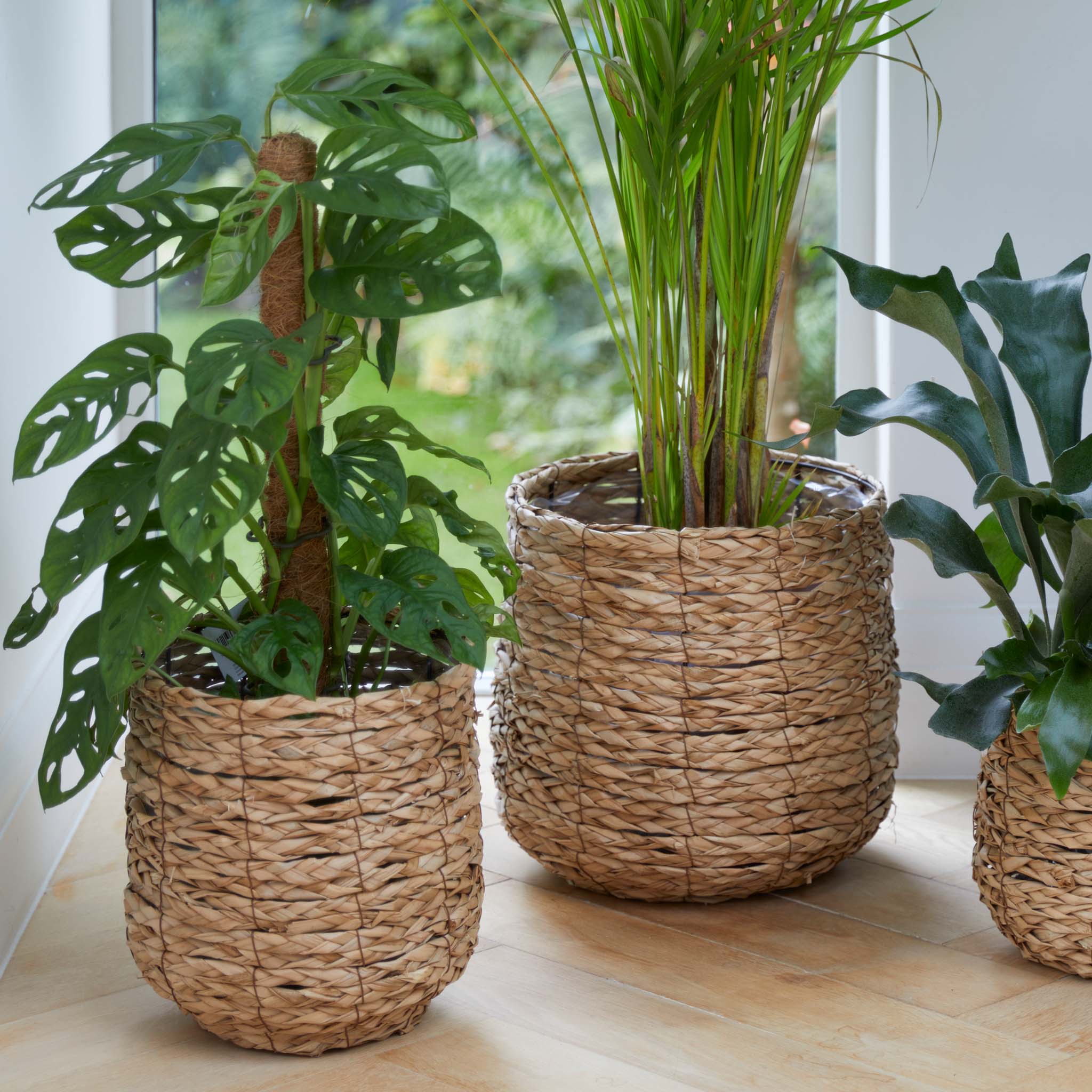 Woven Basket Indoor Plant Pot Gardenesque