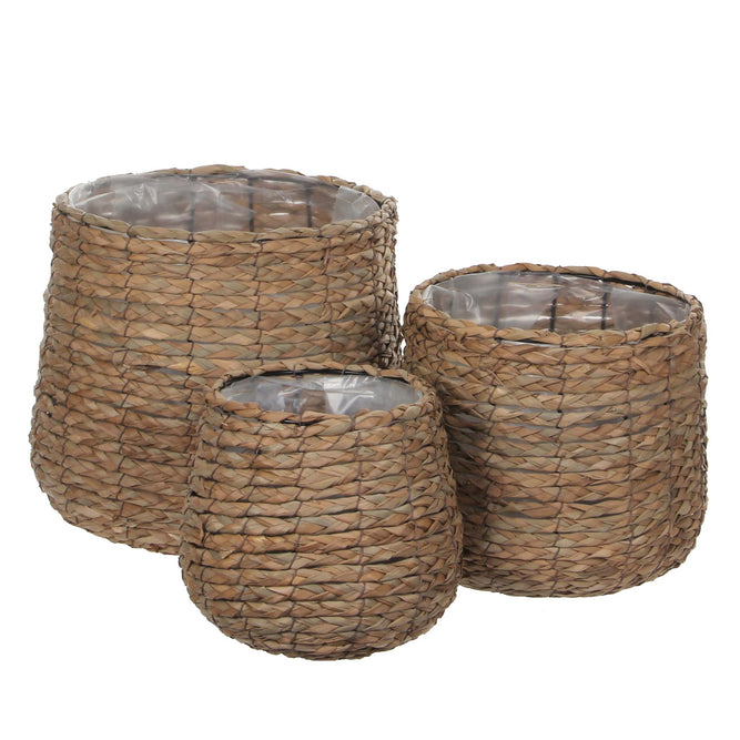 Woven Basket Indoor Plant Pot - 3 Sizes