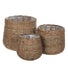 Woven Basket Indoor Plant Pot - 3 Sizes