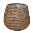 Woven Basket | Indoor Plant Pot