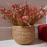Woven Seagrass Plant Pot Basket at Gardenesque
