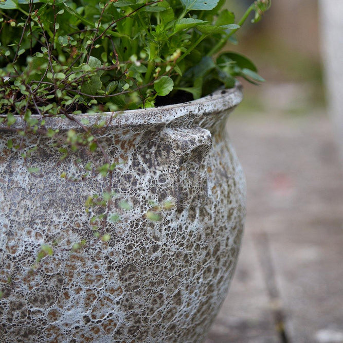 Ancient Collection Garden Plant Pot Bowl - Gardenesque