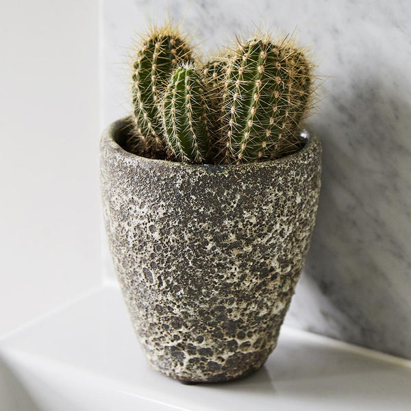 Indoor Plant Pot Textured Stone - Ancient Collection  at Gardenesque