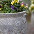 Ancient Collection Frostproof Garden Pot - Gardenesque