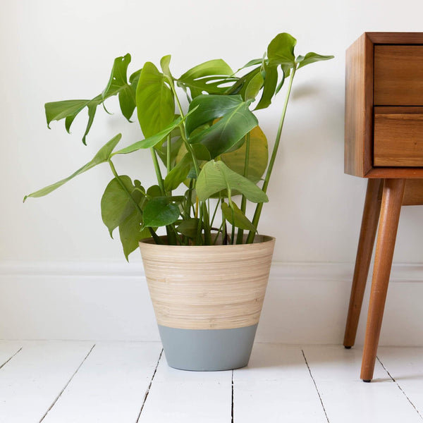 Bamboo Indoor Plant Pot Cover