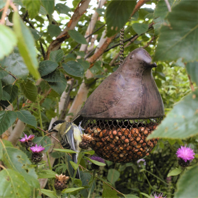 Blackbird Nut Feeder at Gardenesque