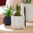Fletcher Indoor Plant Pot Cover - Gardenesque