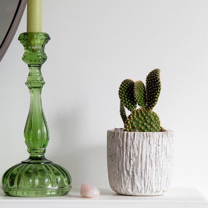 Fletcher Indoor Plant Pot Cover - Gardenesque